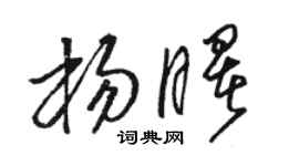 駱恆光楊曙草書個性簽名怎么寫
