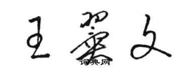 駱恆光王翼文草書個性簽名怎么寫