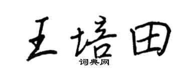 王正良王培田行書個性簽名怎么寫