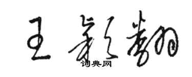 駱恆光王穎翻草書個性簽名怎么寫