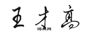 駱恆光王才高行書個性簽名怎么寫