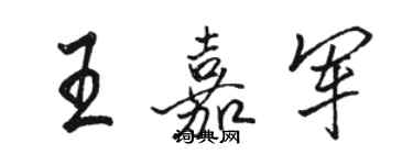 駱恆光王嘉軍行書個性簽名怎么寫