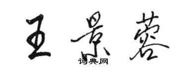 駱恆光王景蓉行書個性簽名怎么寫