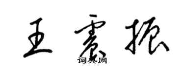 梁錦英王震振草書個性簽名怎么寫