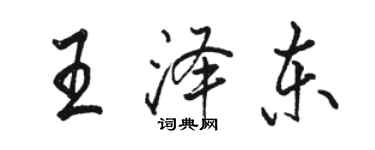 駱恆光王澤東行書個性簽名怎么寫