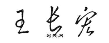 駱恆光王長宏草書個性簽名怎么寫
