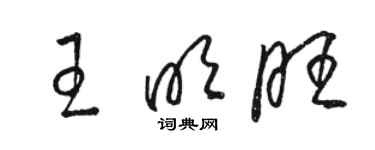 駱恆光王明旺草書個性簽名怎么寫