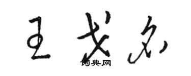 駱恆光王戈名草書個性簽名怎么寫