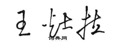 駱恆光王灶拉草書個性簽名怎么寫