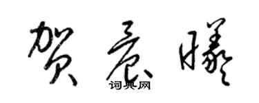 梁錦英賀晨曦草書個性簽名怎么寫