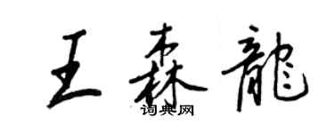 王正良王森龍行書個性簽名怎么寫
