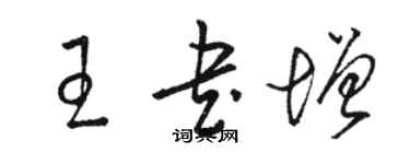 駱恆光王書增草書個性簽名怎么寫