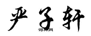 胡問遂嚴子軒行書個性簽名怎么寫