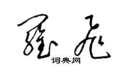 梁錦英羅飛草書個性簽名怎么寫