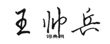 駱恆光王帥兵行書個性簽名怎么寫