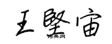 王正良王堅宙行書個性簽名怎么寫