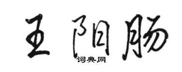 駱恆光王陽腸行書個性簽名怎么寫
