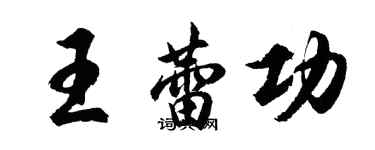 胡問遂王蕾功行書個性簽名怎么寫