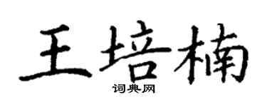 丁謙王培楠楷書個性簽名怎么寫