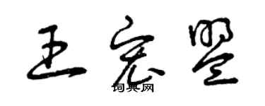 曾慶福王宏盟草書個性簽名怎么寫