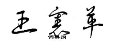 曾慶福王憲革草書個性簽名怎么寫