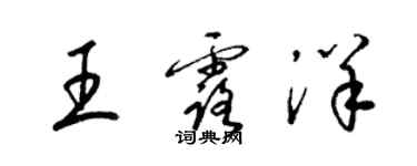 梁錦英王露洋草書個性簽名怎么寫