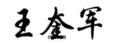 胡問遂王奎軍行書個性簽名怎么寫