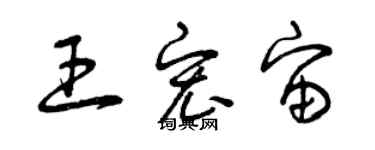 曾慶福王宏宙草書個性簽名怎么寫