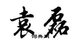 胡問遂袁磊行書個性簽名怎么寫