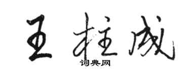 駱恆光王柱成行書個性簽名怎么寫