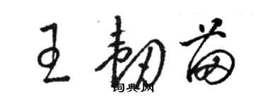 駱恆光王韌苗草書個性簽名怎么寫