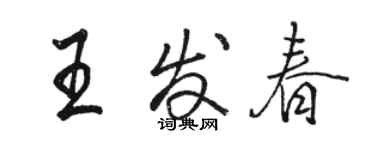 駱恆光王發春行書個性簽名怎么寫