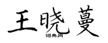 丁謙王曉蔓楷書個性簽名怎么寫