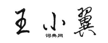 駱恆光王小翼行書個性簽名怎么寫