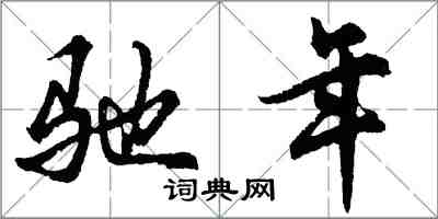 胡問遂馳年行書怎么寫