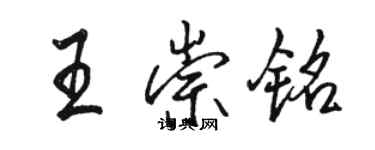 駱恆光王崇銘行書個性簽名怎么寫