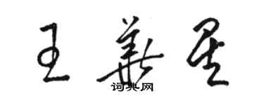 駱恆光王華星草書個性簽名怎么寫