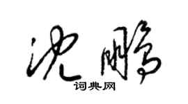 梁錦英沈鵬草書個性簽名怎么寫