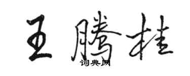 駱恆光王騰桂行書個性簽名怎么寫