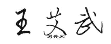 駱恆光王艾武行書個性簽名怎么寫