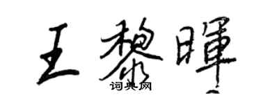 王正良王黎暉行書個性簽名怎么寫