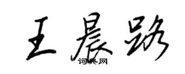 王正良王晨路行書個性簽名怎么寫