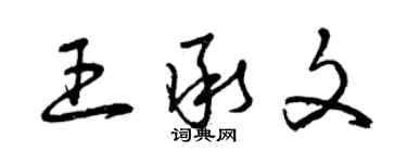 曾慶福王承文草書個性簽名怎么寫