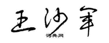 曾慶福王沙軍草書個性簽名怎么寫