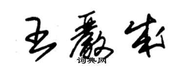 朱錫榮王嚴成草書個性簽名怎么寫