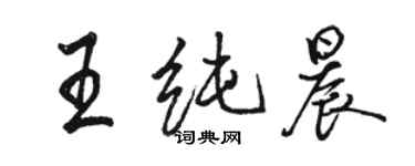 駱恆光王純晨行書個性簽名怎么寫