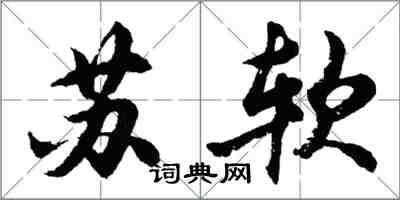 胡問遂蘇軟行書怎么寫