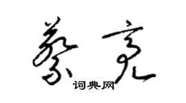 梁錦英蔡亮草書個性簽名怎么寫