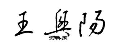 梁錦英王興陽草書個性簽名怎么寫