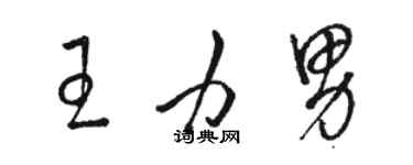 駱恆光王力男草書個性簽名怎么寫